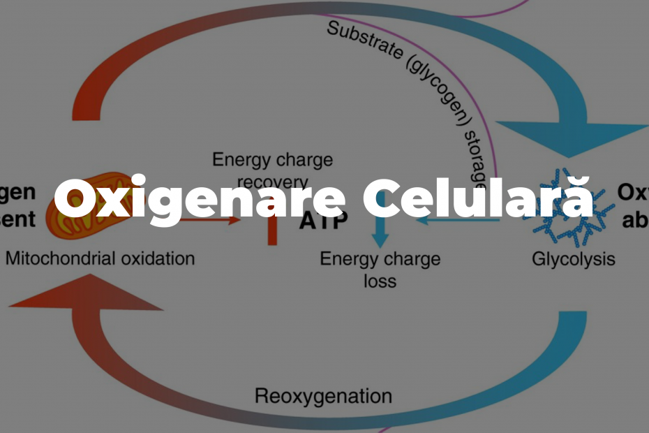 Oxigenare Celulara